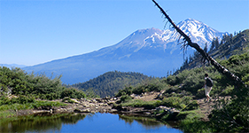 Voyage initiatique au Mont Shasta - Christine Cal