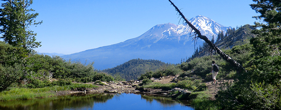 Voyage initiatique au Mont Shasta - Christine Cal